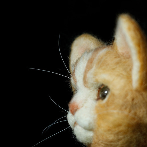 양모공예 고양이수염 / 동물수염